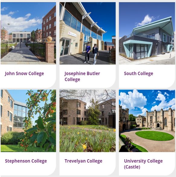 17 所自治学院（二）：John Snow、Josephine Butler、South、Stephenson、Trevelyan、University College